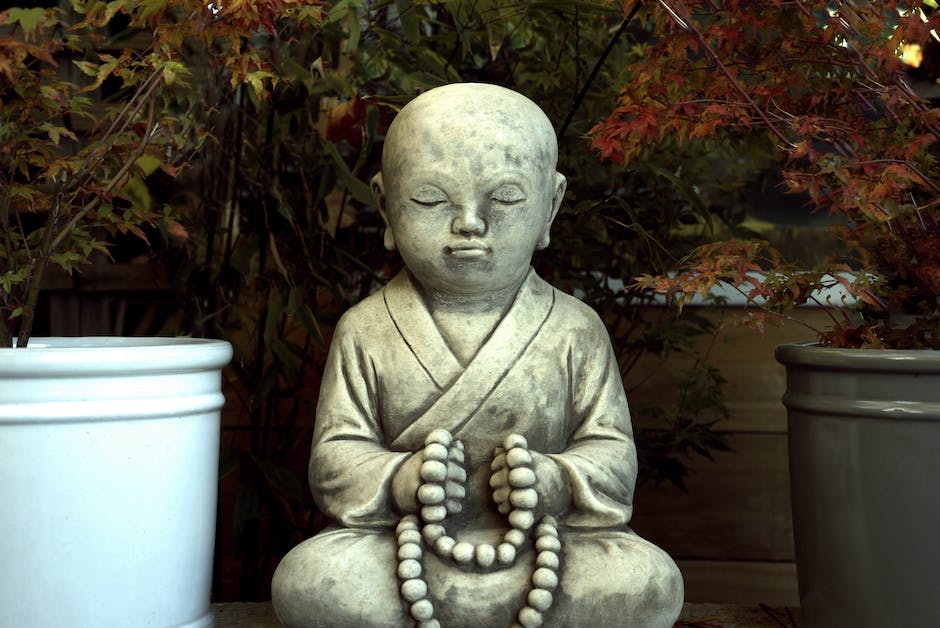 Serenity in Growth: Creating a Hydroponic Zen Garden