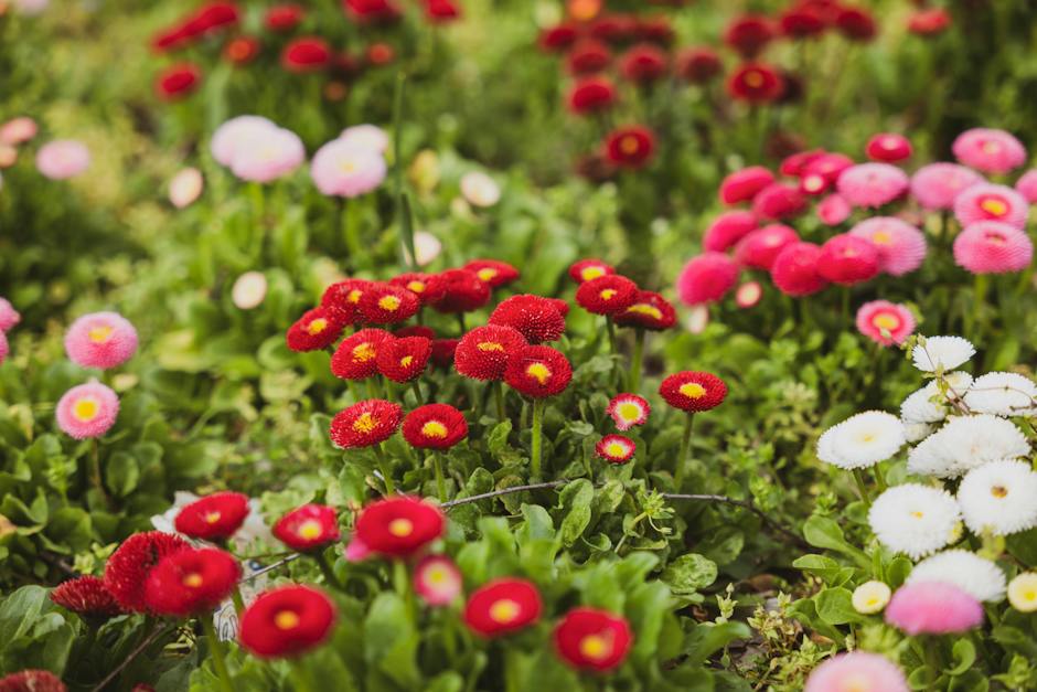 Water-Wise Gardening: Growing Hydroponic Drought-Tolerant Plants